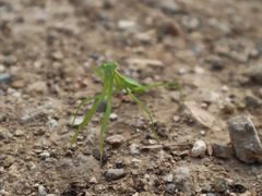 -蟠龙山长城景区