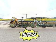 -黄龙溪古镇