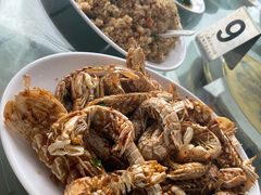 -七鲜渔港美食餐厅(巽寮湾海景店)