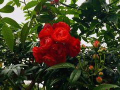 -人民公园(罗湖区)