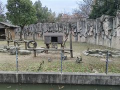 -上海野生动物园