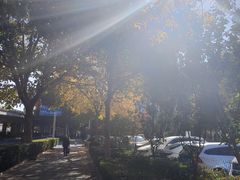 -1号足道推拿会馆