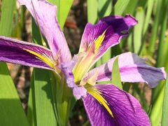 -昆山城市生态森林公园