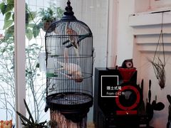 景观位-拾壹cafe·工作室