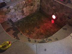 池子好像很久没使用，里面杂物很多，没人清理。-御林汤泉