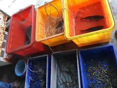 -光兴海鲜排档·小炒(莱利园店)