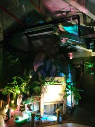 -恐龙探索乐园(磁器口店)