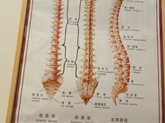 -杏林康桥中医正骨·体态矫正·跌打损伤·推拿按摩(国贸建外SOHO店)