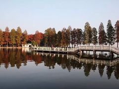 -东湖磨山景区