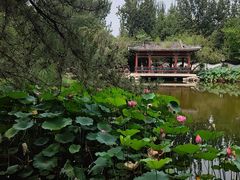 -宣武艺园