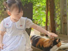 -谷咖啡·鲜花绿植花园餐厅