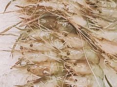 大头虾-万德诺富特酒店·自助餐厅(万德大厦店)