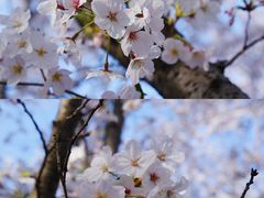 -龙美术馆(西岸馆)