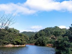 -广州市石门国家森林公园