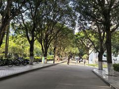 -厦门大学(思明校区)