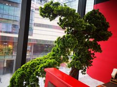 -明洞王妃家烤肉(苏州中心星悦汇店)