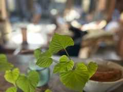 -花迹·金陵南京菜(老门东店)