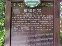 -大屏嶂森林公园