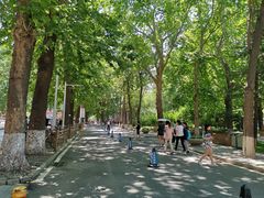 -第二外国语学院-韩国餐厅(朝阳路店)