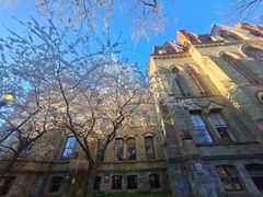 -宾夕法尼亚大学沃顿商学院