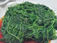 草头-泰煌鸡·上海白斩鸡·沪菜(平利店)