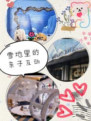 -Mr·Kuma酷么先生雪之乐园