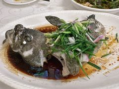 清蒸石斑鱼-汇兴源餐馆(小北路店)
