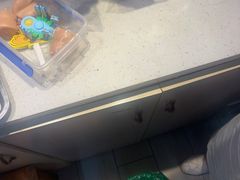 -南沙辉记烧鸡·荔枝木炭火吊烧(旧镇店)