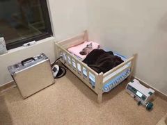 -瑞派申生动物医院·24H夜诊·国际动物医疗中心·骨外科(吴中路店)