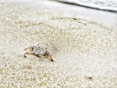 -西涌国际滨海旅游区