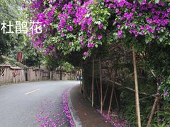 -广东天露山旅游度假区