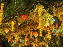 -横店影视城梦幻谷园区