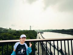 -东寨港红树林旅游区