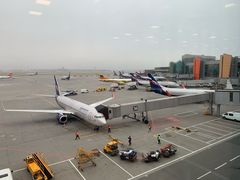 -谢列梅捷沃国际机场