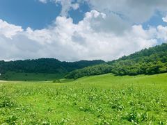 -关山牧场王师烤全羊