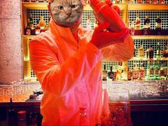 -饮湖威士忌鸡尾酒吧