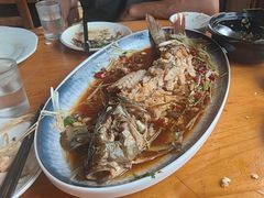 崂山水库鱼-崂山水果园农家宴(泉水鸡店)