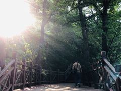 -紫金山山顶公园