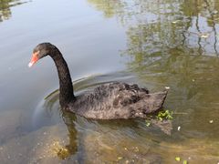 -上海中医药大学附属曙光医院(东部)