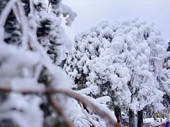 -庐山风景名胜区