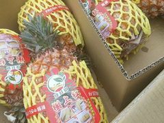 -南京众彩农副产品配送有限公司