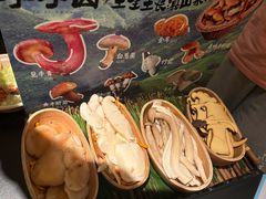 -季季山·云南野生菌火锅(上海首店)