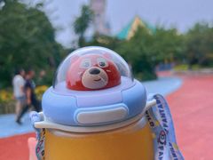 -天津方特欢乐世界