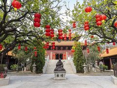 -三水森林公园孔圣园