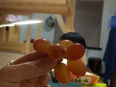 -凤栖原(地铁站)