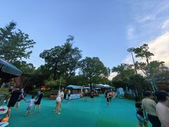 -苏州乐园森林水世界