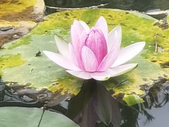 -南湾湖