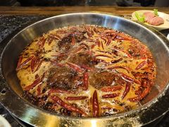 -蜀大侠火锅(建设路第五大道店)