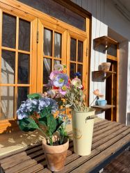 -DORA kids 朵拉儿童摄影花园店