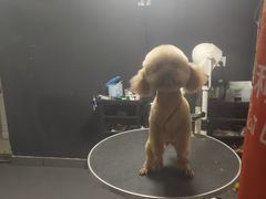 -佳百利宠物(荣乐中路115弄小区店)